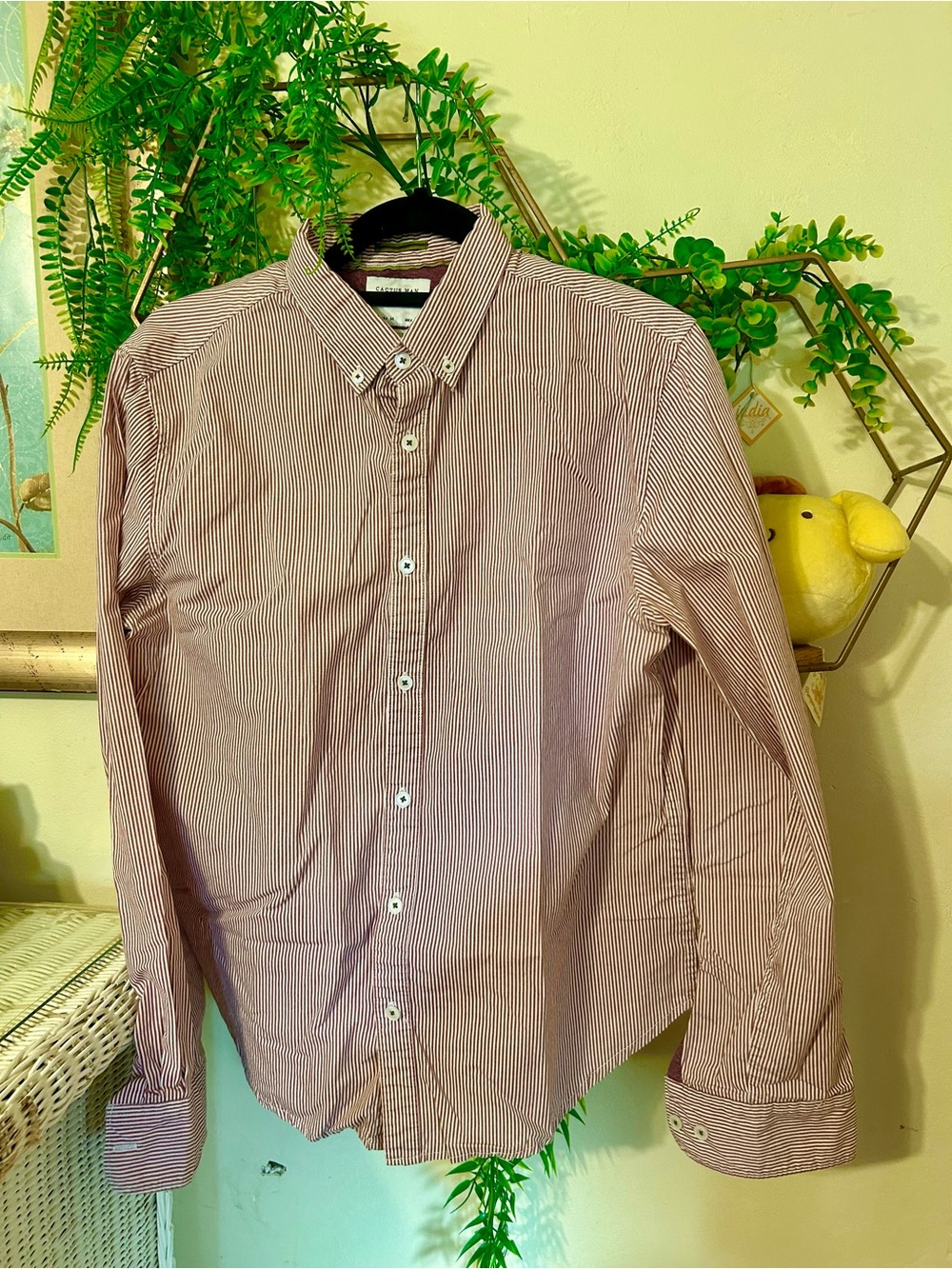 Cactus man Men's Button-Down Shirt in Burgundy Stripe